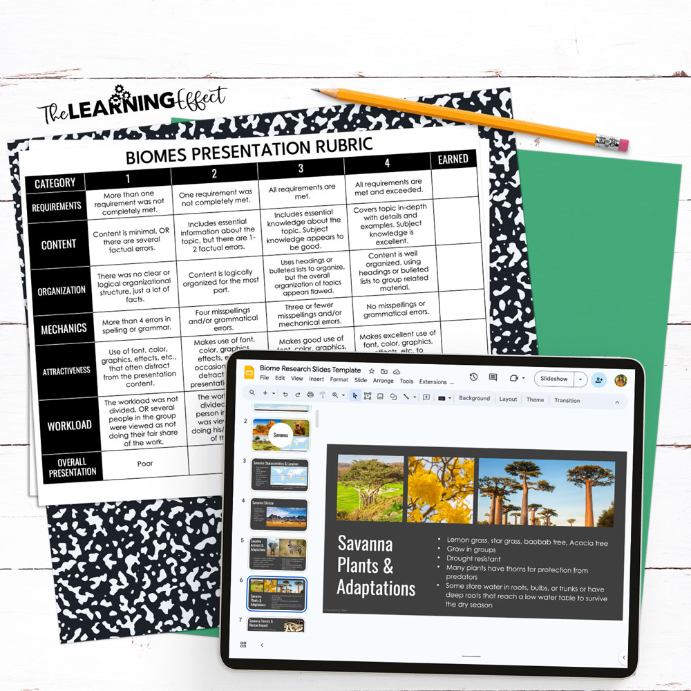 Biome project rubric