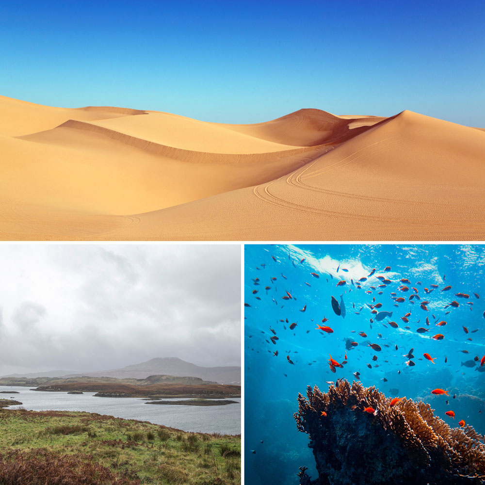 Biomes and ecosystems